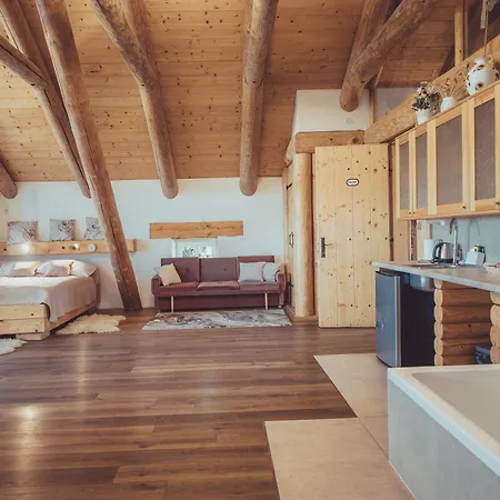 Apartament Novomanzelsky